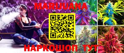 бошки Краснодар