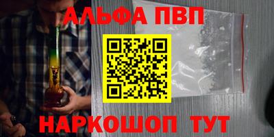 крисы Краснознаменск